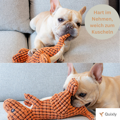 PawPower - Der Hunde-T-Rex, der hält