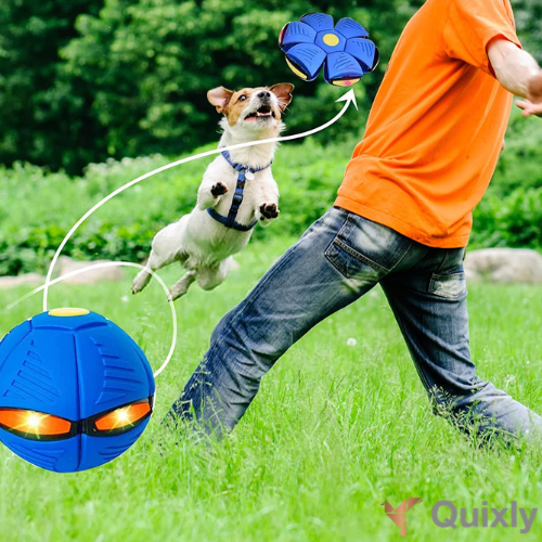 FlexiDisk - Das Spielabenteuer für Hunde