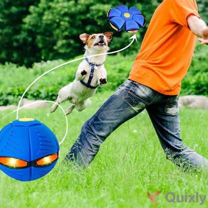FlexiDisk - Das Spielabenteuer für Hunde