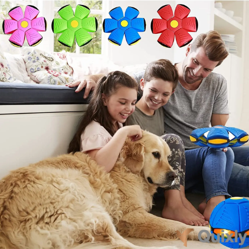 FlexiDisk - Das Spielabenteuer für Hunde