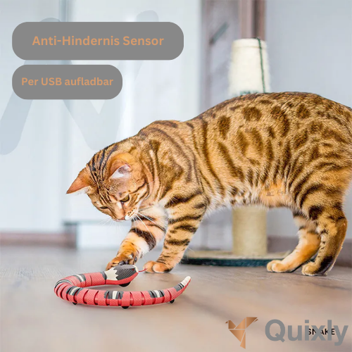 Smart Snake: Das intelligente Spielzeug für clevere Katzen